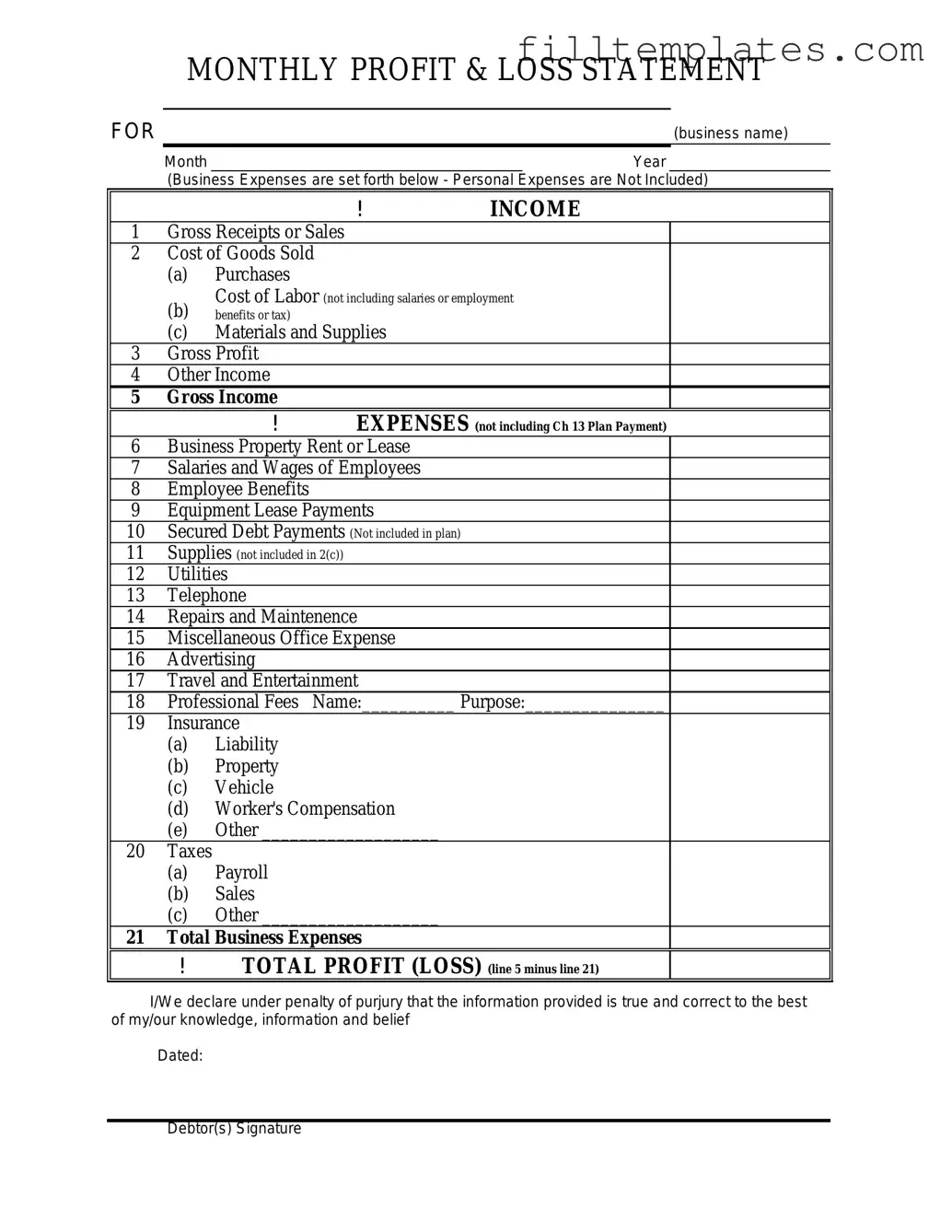 Download Profit And Loss Template