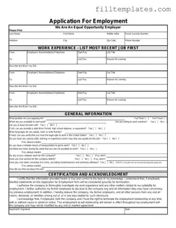 Download Spanish Application Employment Template